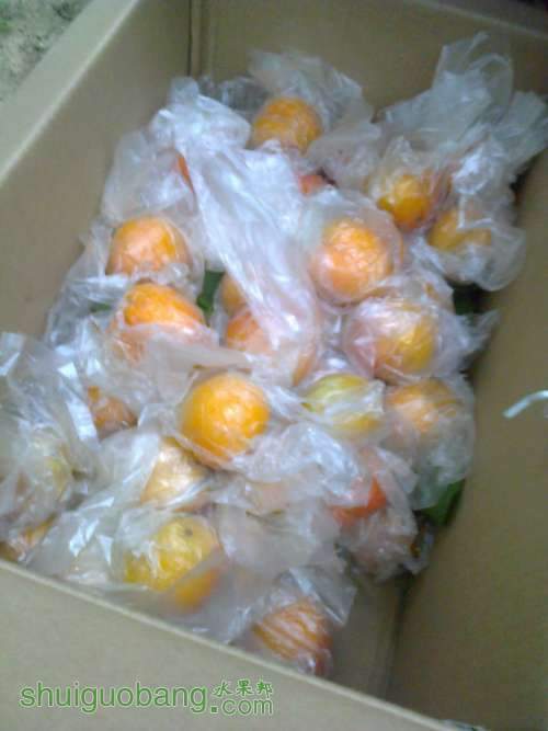 ��Ƭ0191.jpg