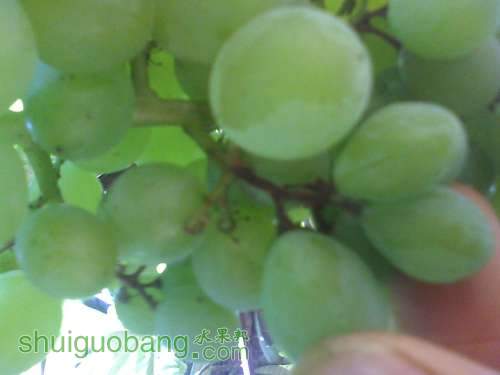 IMG0526141101.jpg