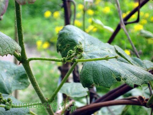 Ƭ 019_00.jpg