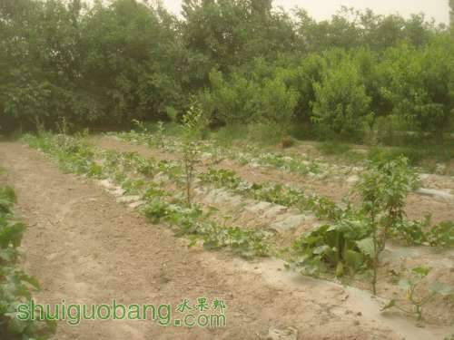 С DSC01299.JPG