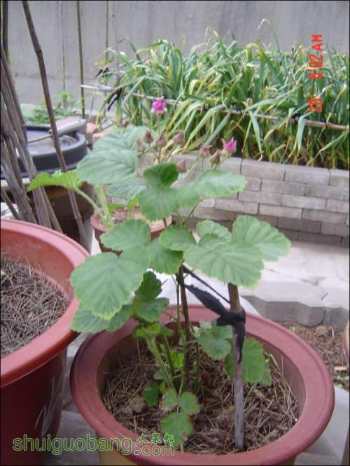dsc00434.jpg
