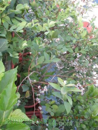 IMG_7267.JPG