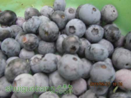 IMG_7306.JPG