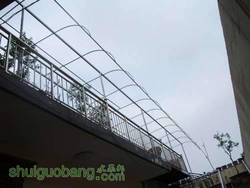 Ƭ 001.jpg