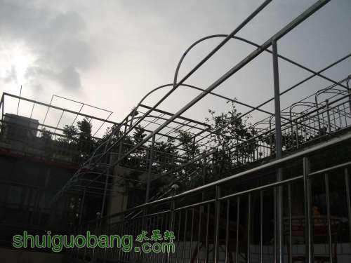 Ƭ 006.jpg