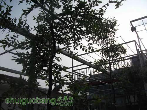 Ƭ 016.jpg