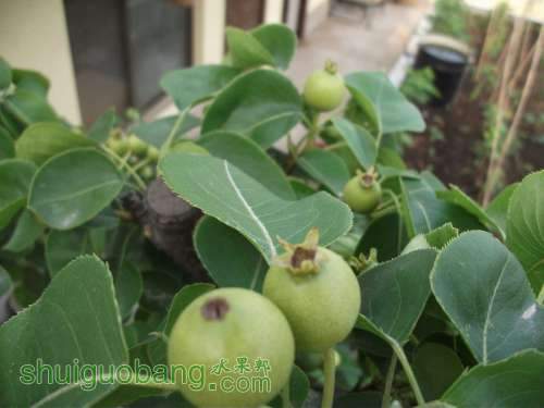 Ƭ 024.jpg