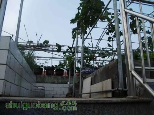 Ƭ 029.jpg