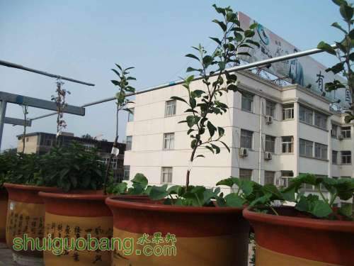 Ƭ 058.jpg