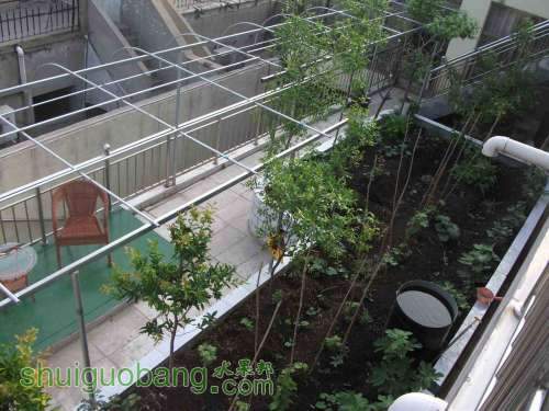Ƭ 064.jpg