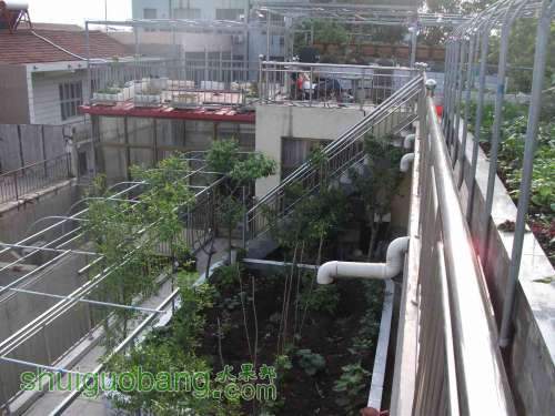 Ƭ 065.jpg