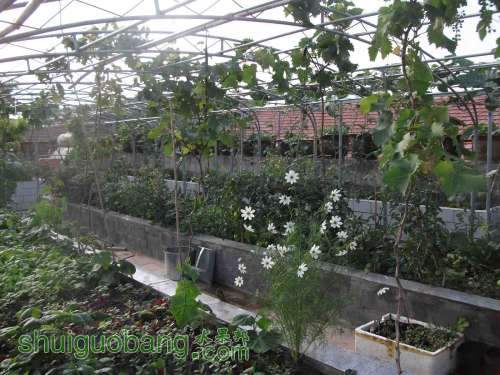 Ƭ 067.jpg