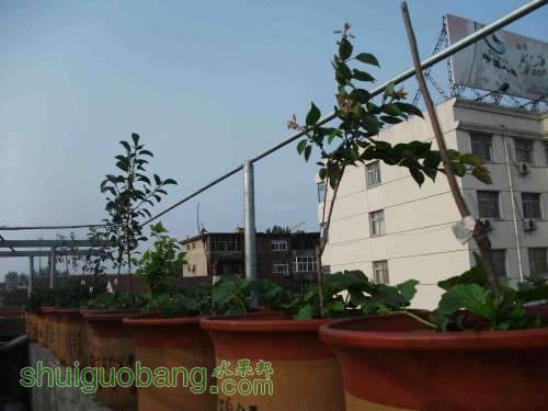 Ƭ 068.jpg