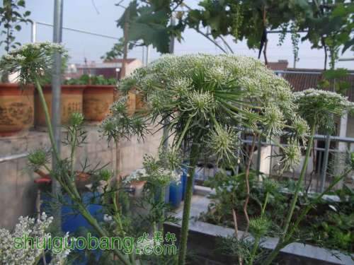 Ƭ 073.jpg