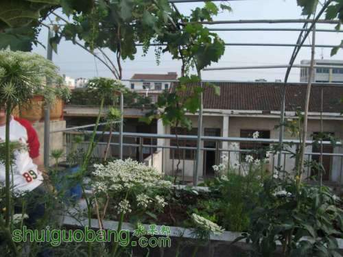 Ƭ 074.jpg