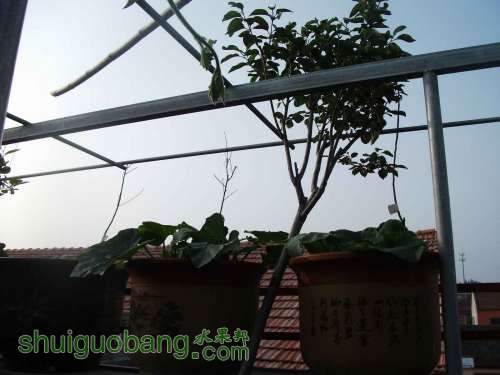 Ƭ 076.jpg