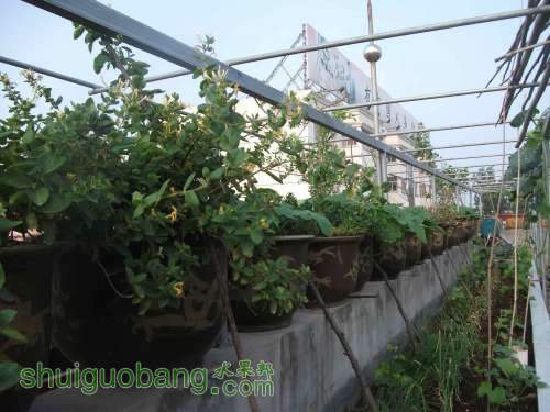Ƭ 090.jpg