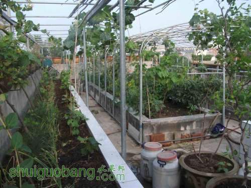 Ƭ 092.jpg
