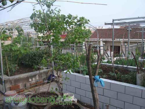Ƭ 093.jpg
