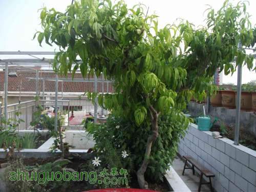 Ƭ 095.jpg