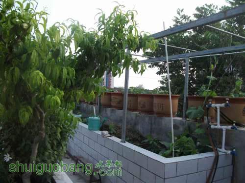 Ƭ 096.jpg