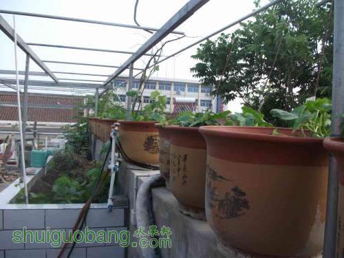 Ƭ 098.jpg