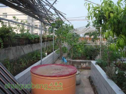 Ƭ 099.jpg