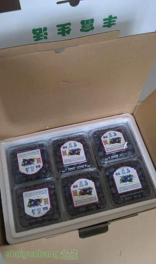 ��װ����