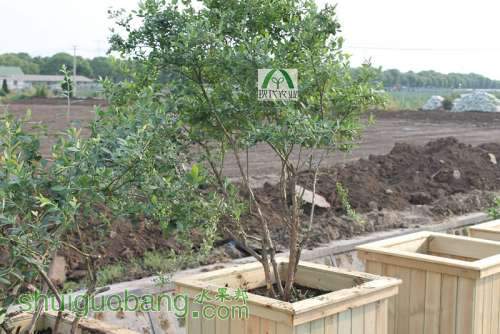 ��̭���һ���ľ����װ��