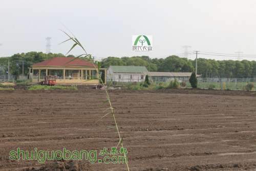 �������þ�������