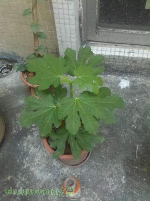 2013-03-22_18-05-34_609.jpg