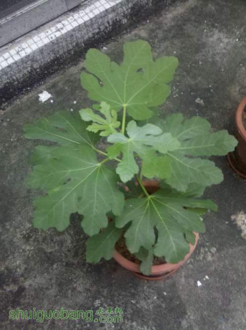 2013-03-29_17-54-09_716.jpg