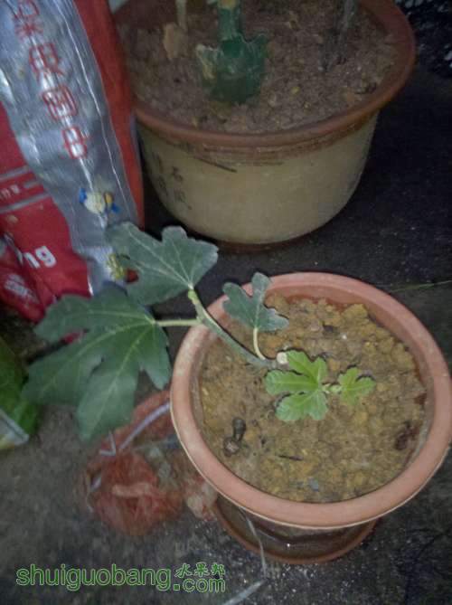 2013-04-12_18-32-59_726.jpg
