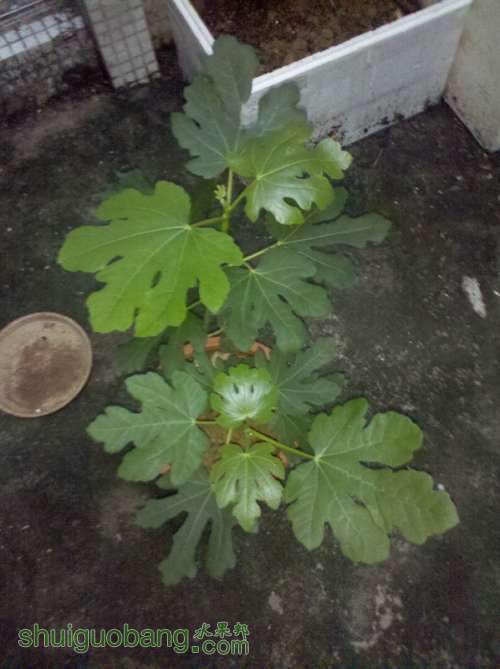 2013-04-12_18-33-21_880.jpg