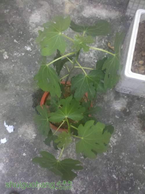 2013-04-25_17-52-38_44.jpg
