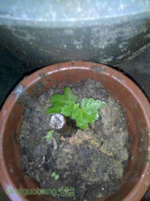2013-05-07_18-09-30_315.jpg