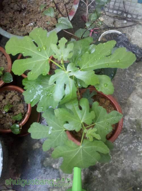 2013-05-07_18-09-40_78.jpg