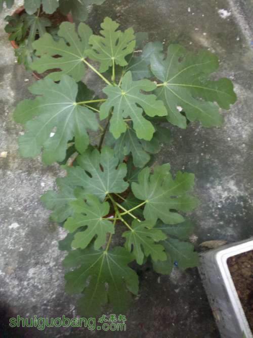 2013-05-07_18-09-58_274.jpg