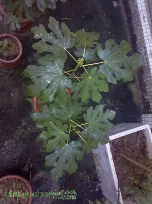 2013-05-12_18-35-03_226.jpg