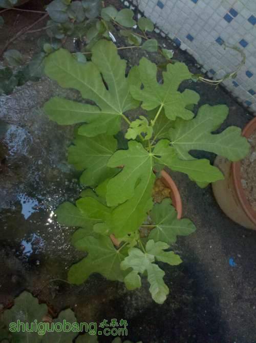 2013-05-12_18-35-19_741.jpg
