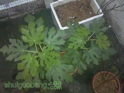 2013-05-28_18-54-32_454.jpg