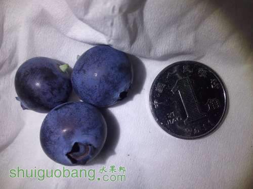 Ƭ2156.JPG