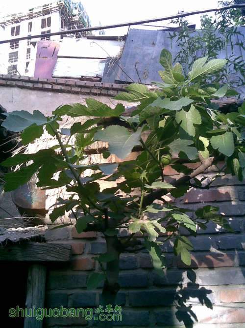 20130530(002).jpg
