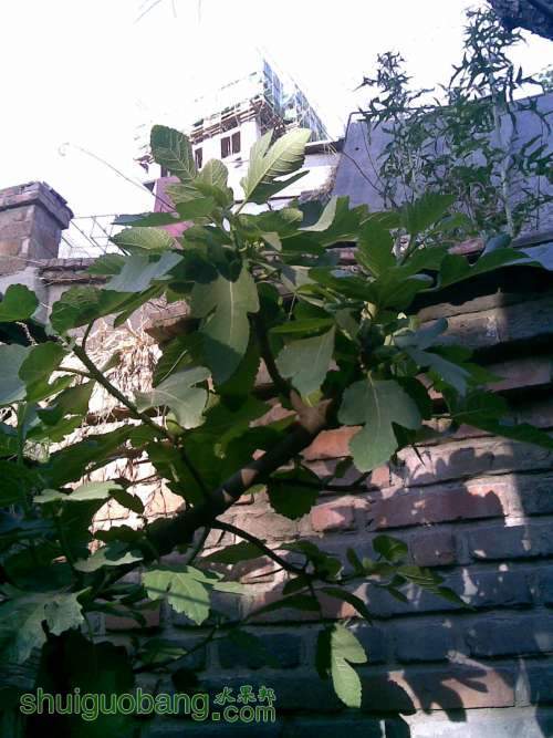 20130530(004).jpg