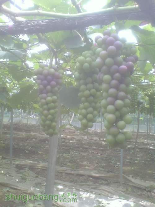 IMG0602112301.jpg