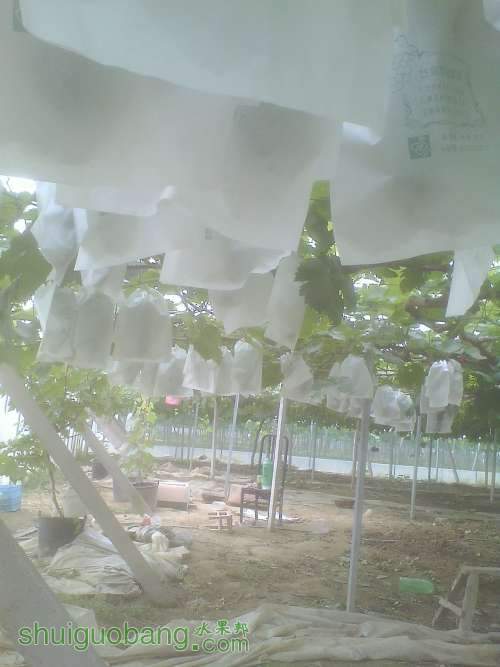 IMG0602103800.jpg