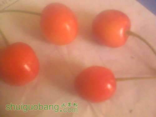 IMG0458A.jpg