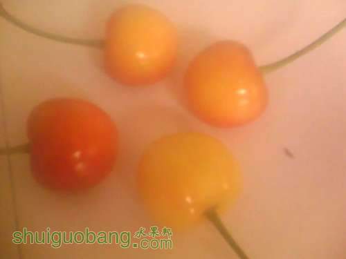 IMG0457A.jpg