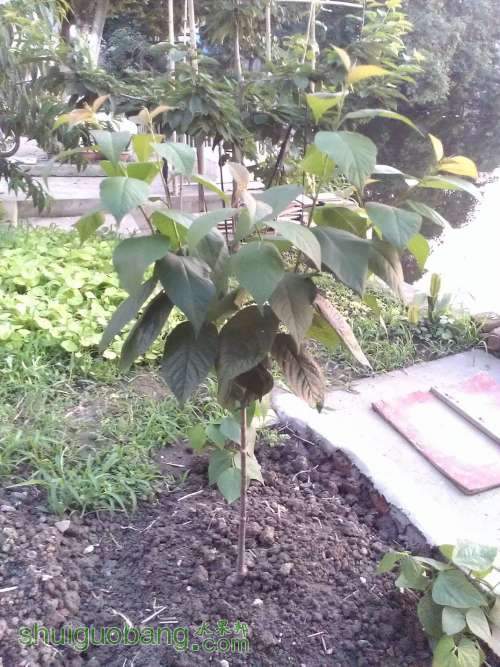 WP_001130.jpg