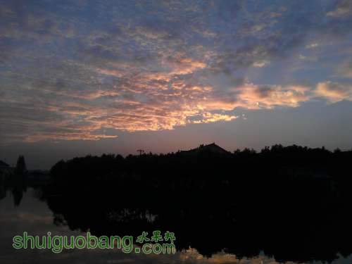 WP_001129.jpg